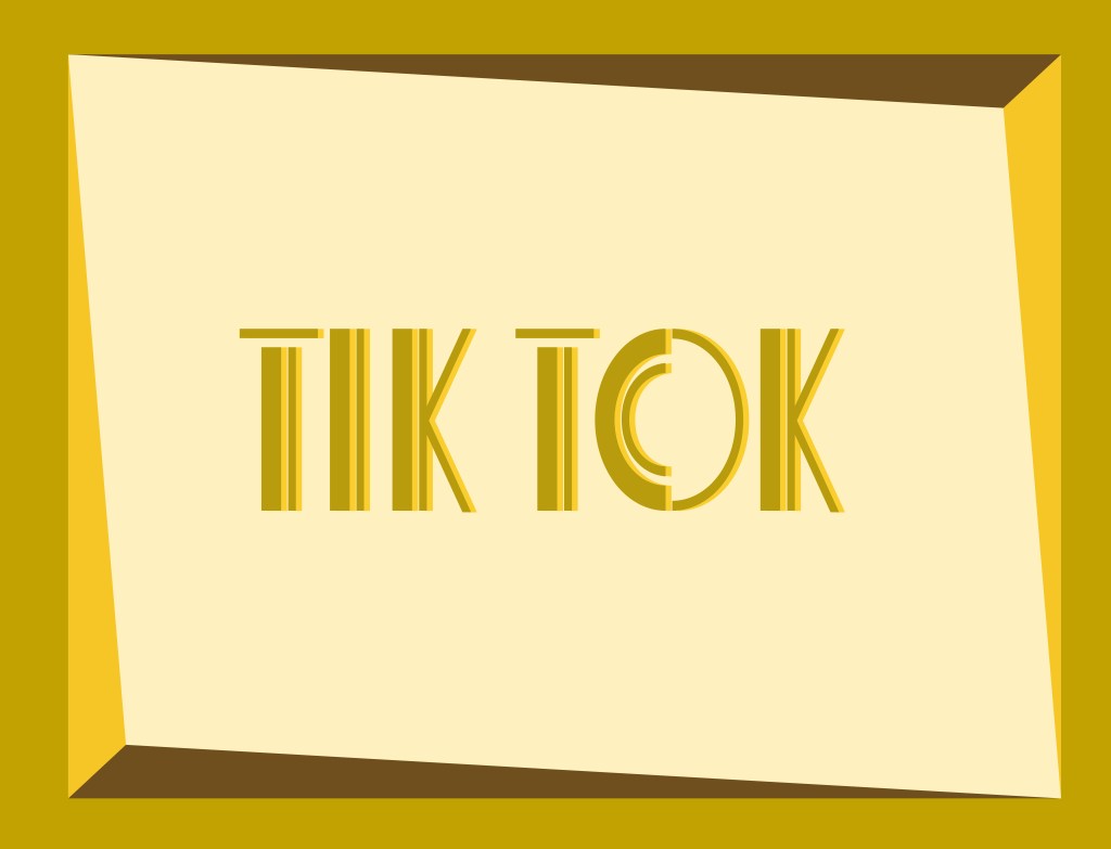 bweega books social media Tie Tok page. 