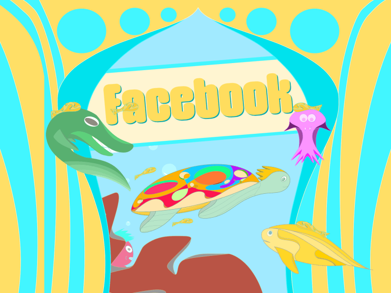 Facebook, bweega, ocean shine